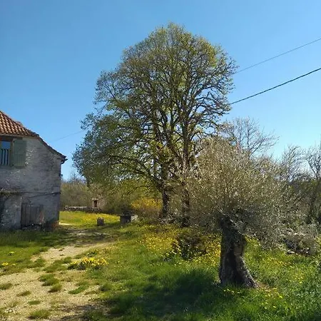 Holiday home Celadon Bach